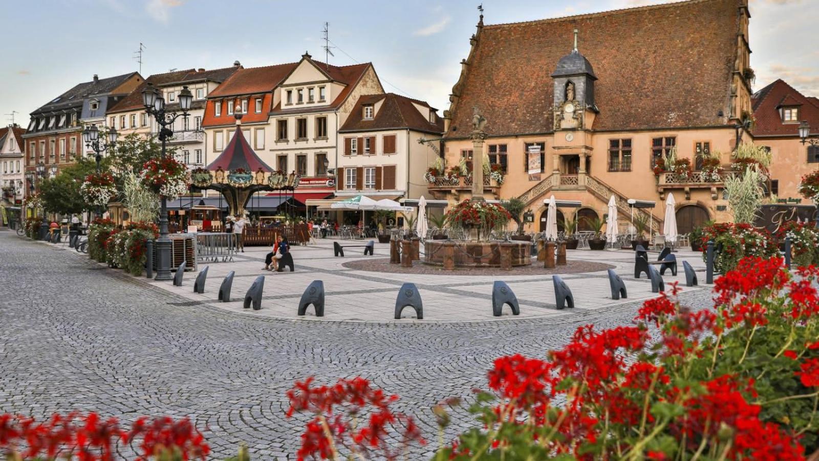 Studio Cosy A Molsheim Calme, Centre-Ville Et Acces Strasbourg Zewnętrze zdjęcie